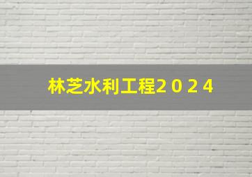 林芝水利工程2 0 2 4